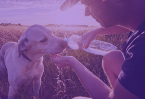 Franchisee Health, Safety and Nutrition