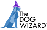 The Dog Wizard Training