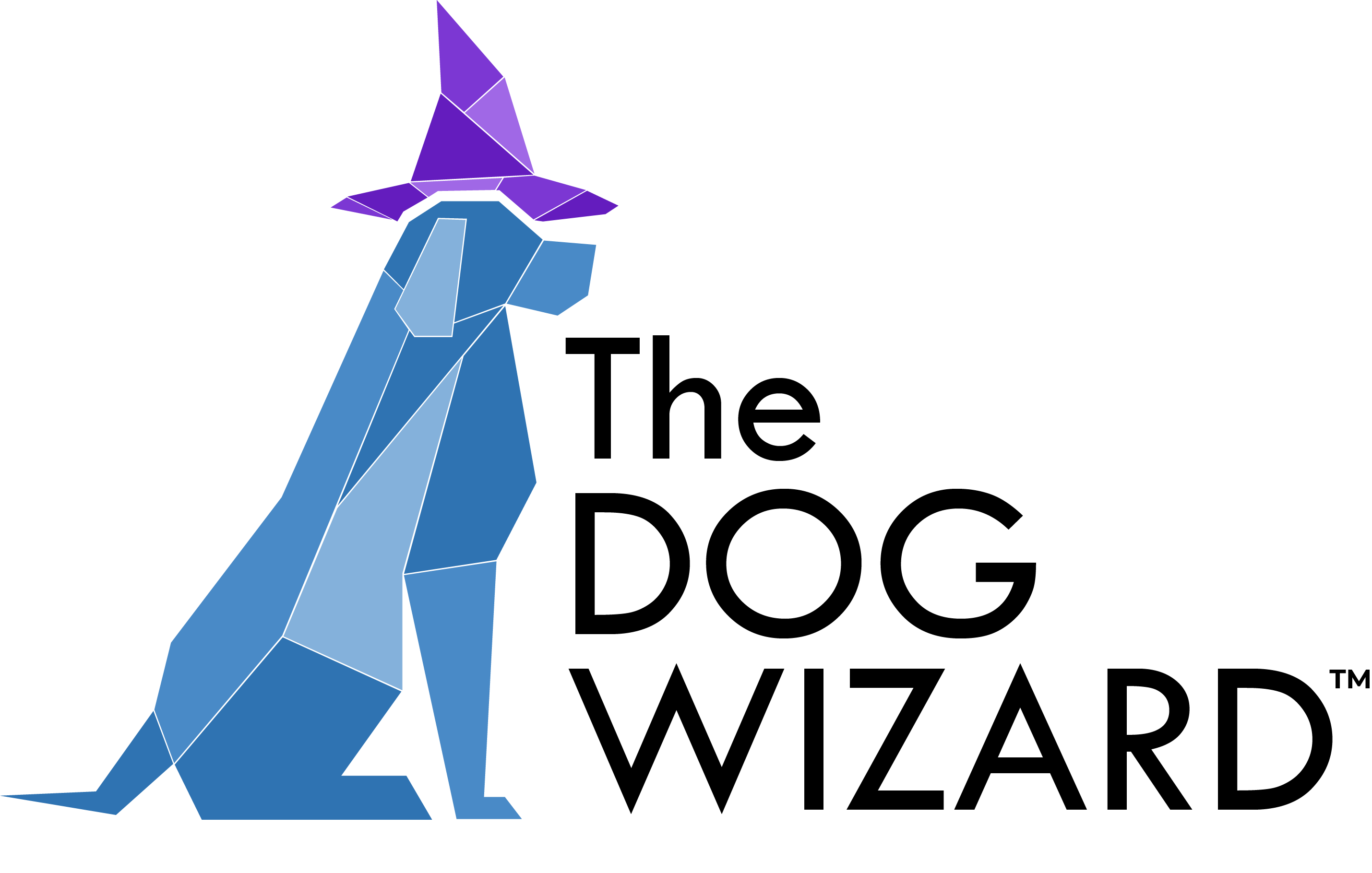 The Dog Wizard Training